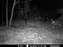 10-30-09 Buck.JPG