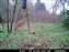 11-21-09 Righty.JPG