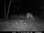 12-17-09 Buck.JPG