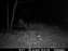 12-19-09 Buck.JPG